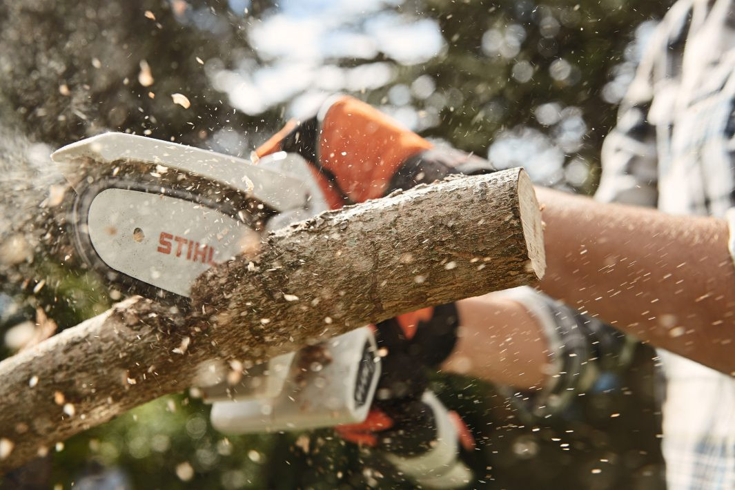 STIHL GTA 26 baterijske makaze za grane